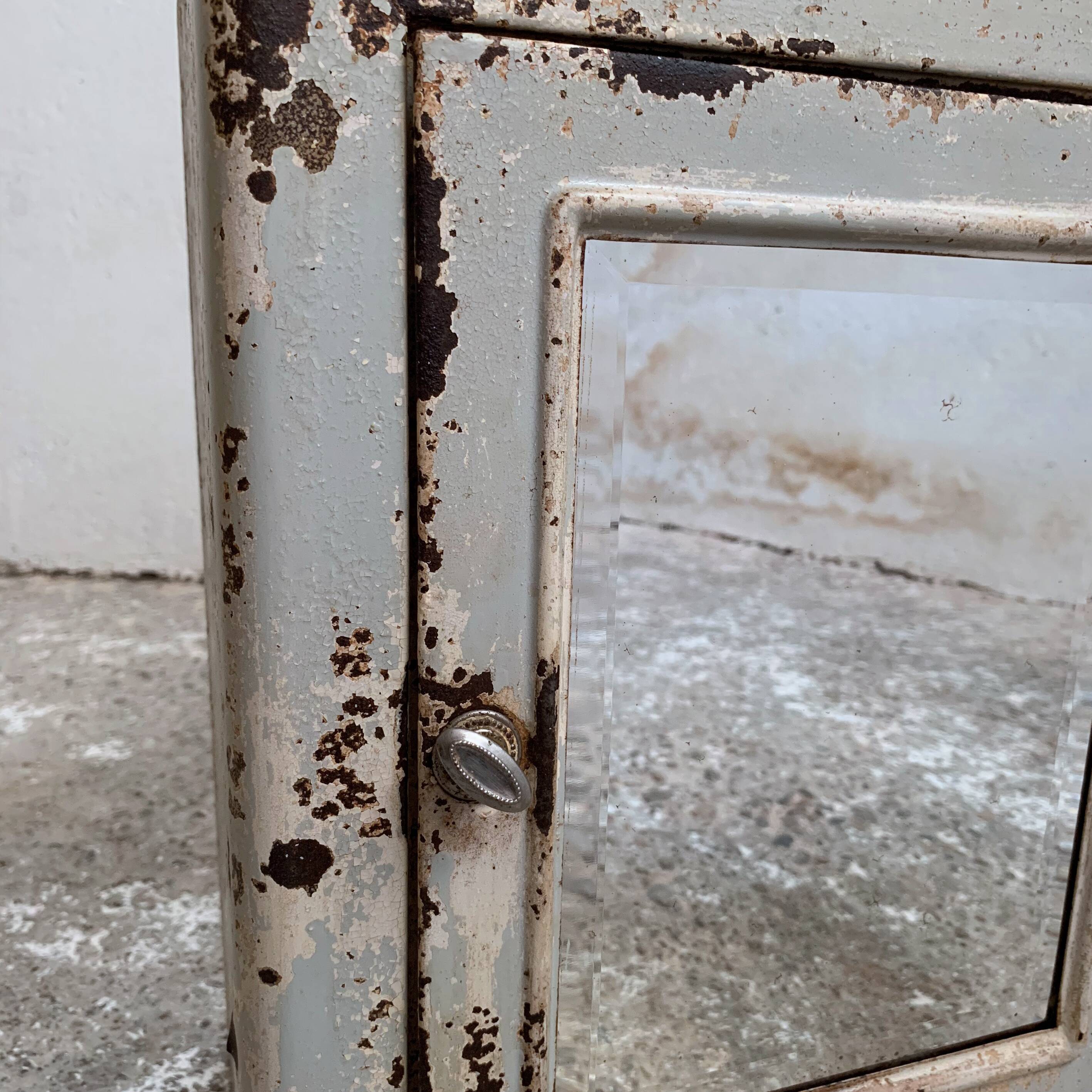 Pharmacy or toilet cabinet