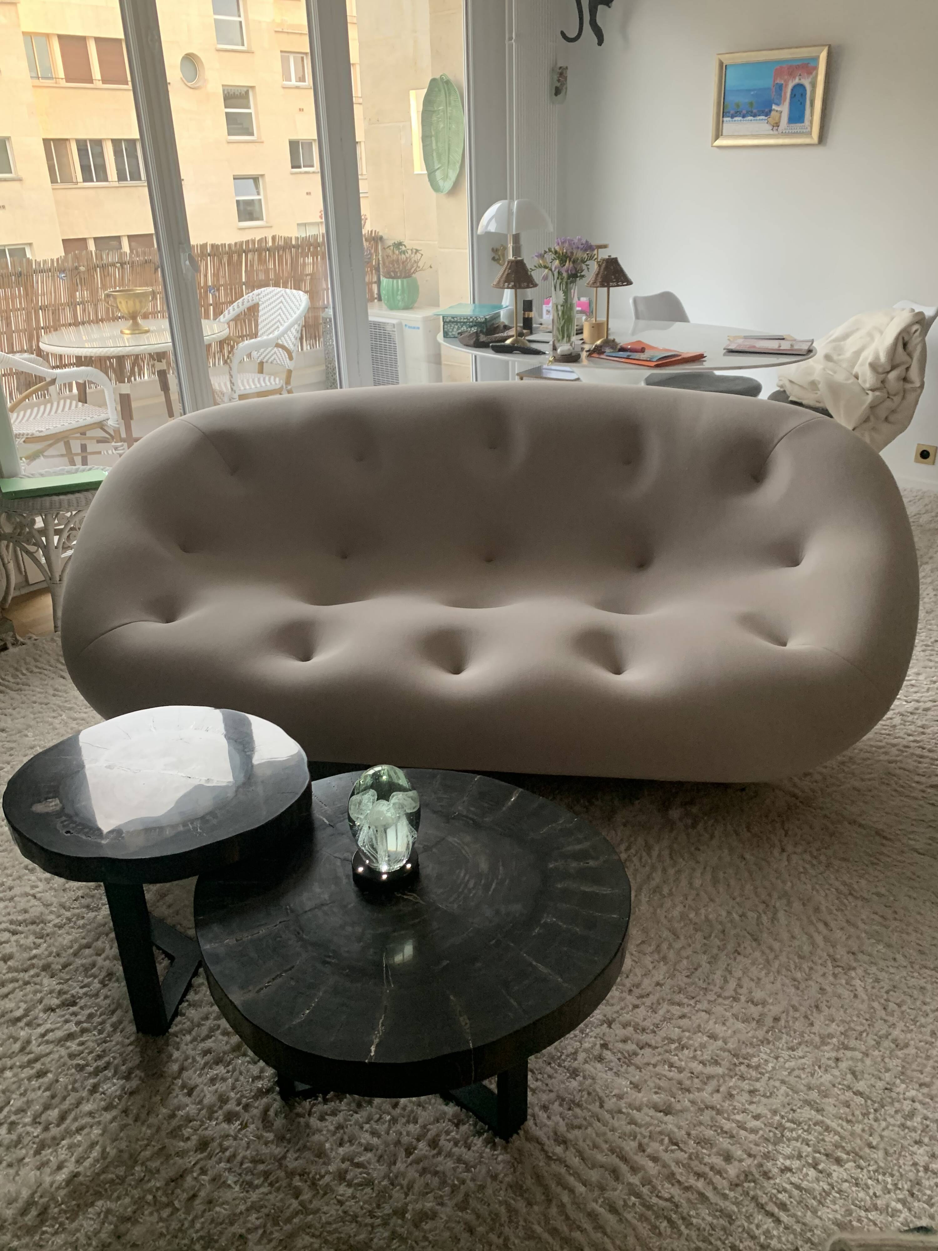 Canapé Plum Ligne Roset