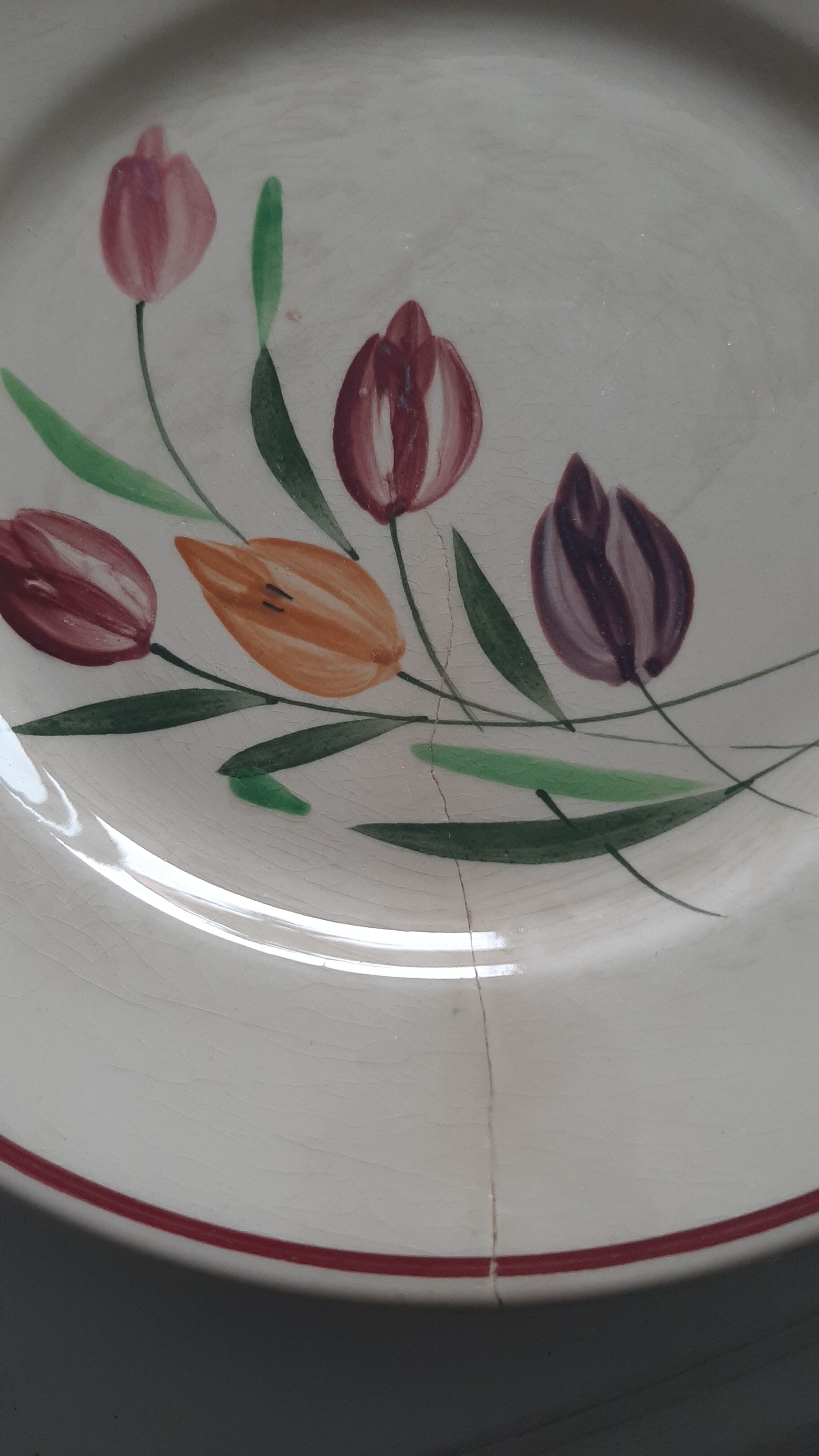 Longchamp earthenware plates