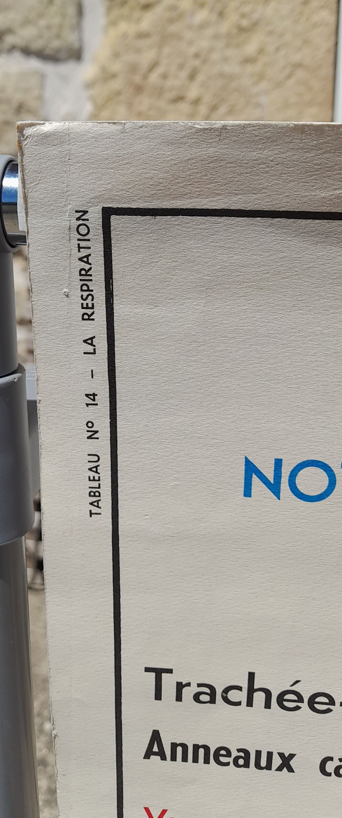 Anatomical school poster