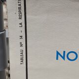 Anatomical school poster