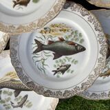 11 vintage Limoges porcelain fish plates