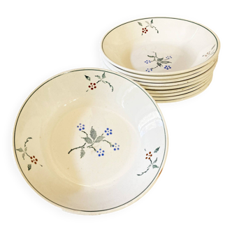 Deep plates, Saint-Amand earthenware, Bill model
