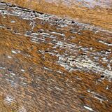 Oak monastery table 250 cm