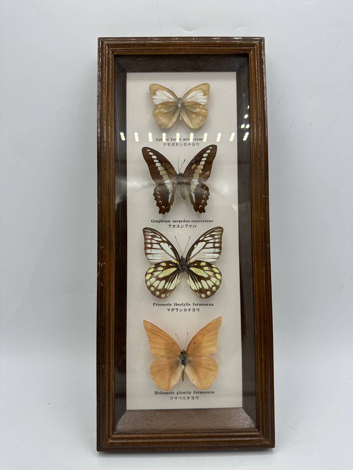Neutralized butterfly frame