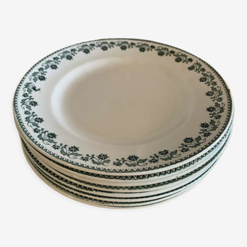 8 flat plates Terre de fer collection Georgette