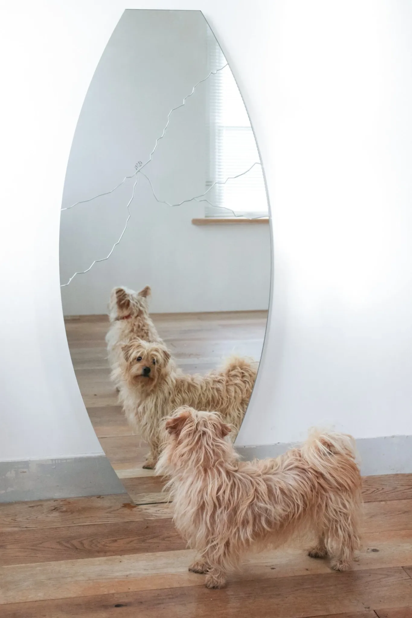 Rimadesio Italian design mirror “Broken” signed