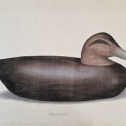 La Roche Laffitte (Born in 1943) - Watercolour drawing on fabric - Duck