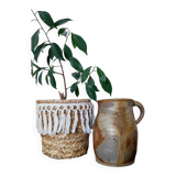 Terracotta pitcher
