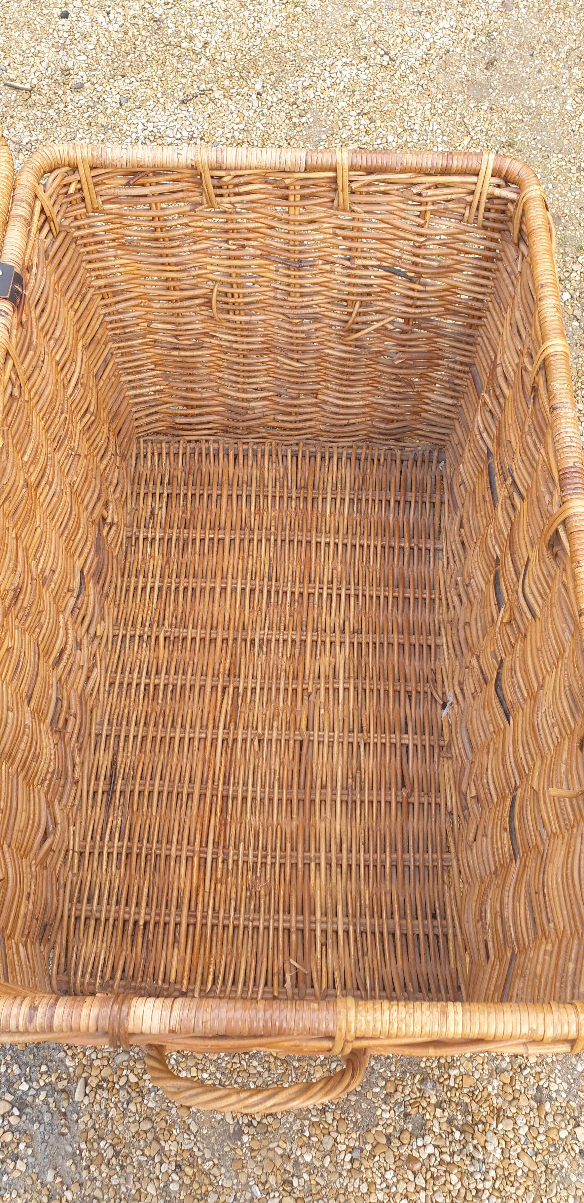 Rattan trunk