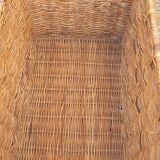 Rattan trunk