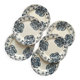 6 iron earthenware flat plates “Les Violettes” Salins