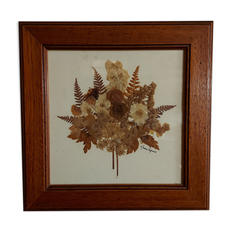 Herbarium frame