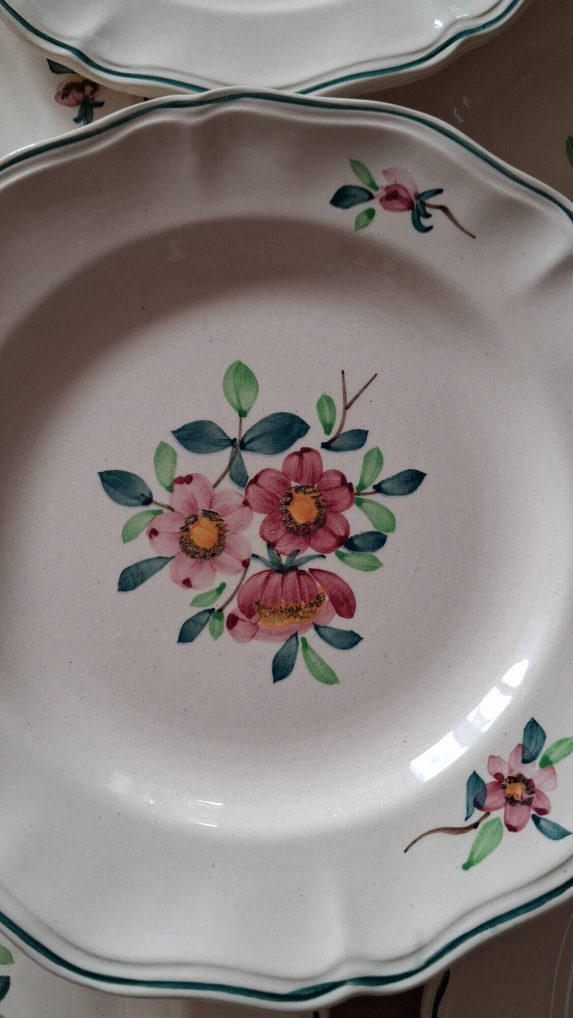 Amazonas plates Sarreguemines