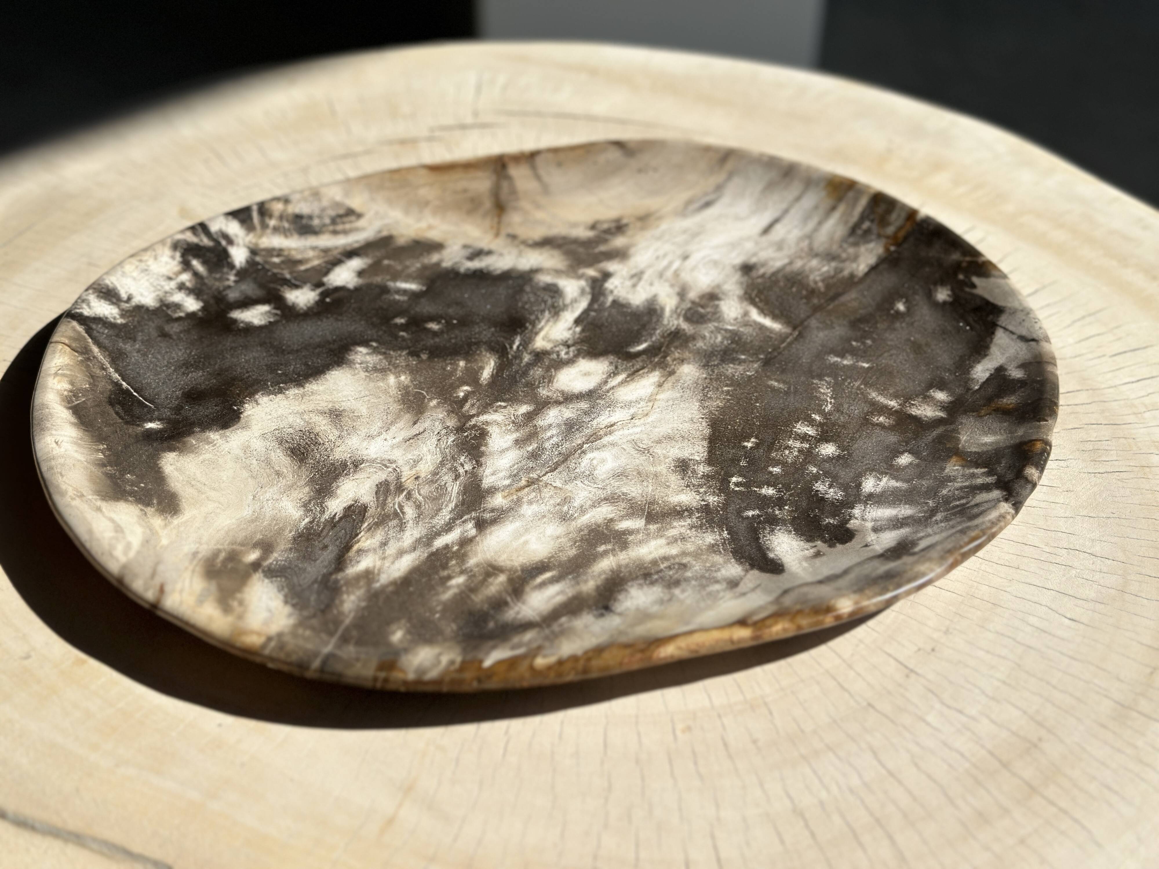 Very large pocket or dish in petrified wood