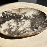Very large pocket or dish in petrified wood