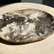 Very large pocket or dish in petrified wood