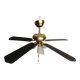 Ceiling fan