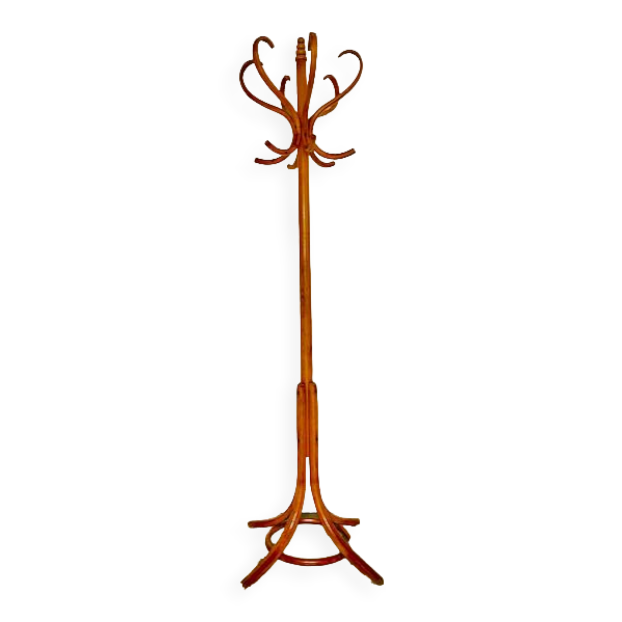 Parrot coat rack on beech legs