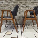 Pair of armchairs by Cees Braakman for Pastoe 1960