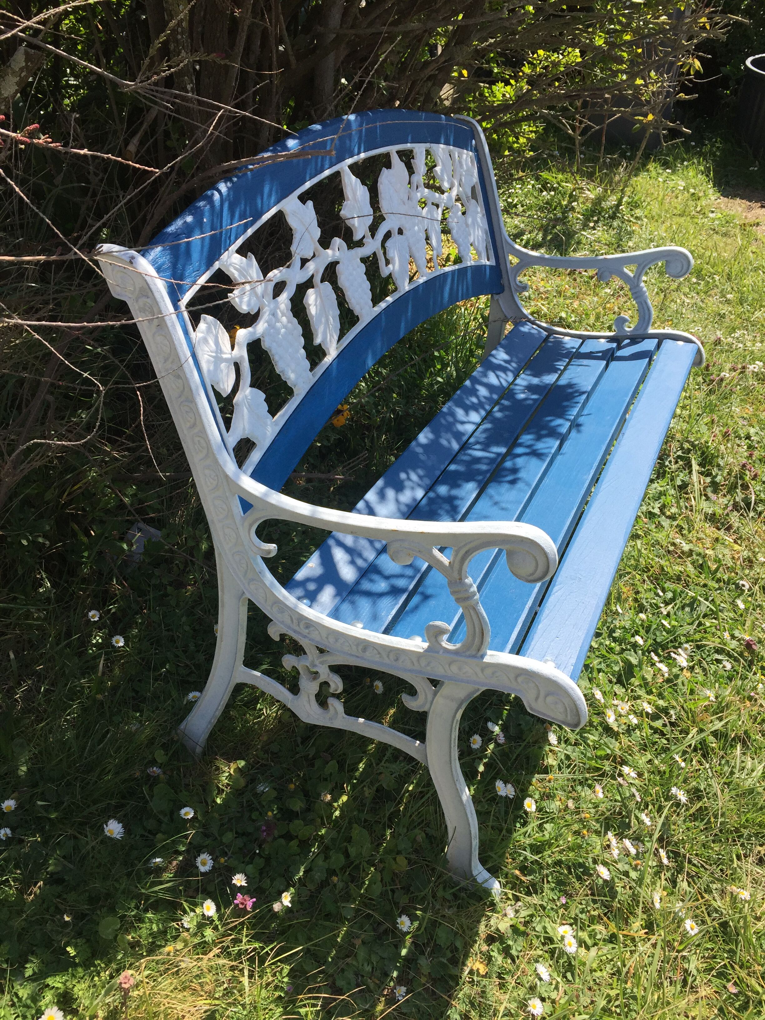 Wood garden bench and iron cast iron. Grape clusters