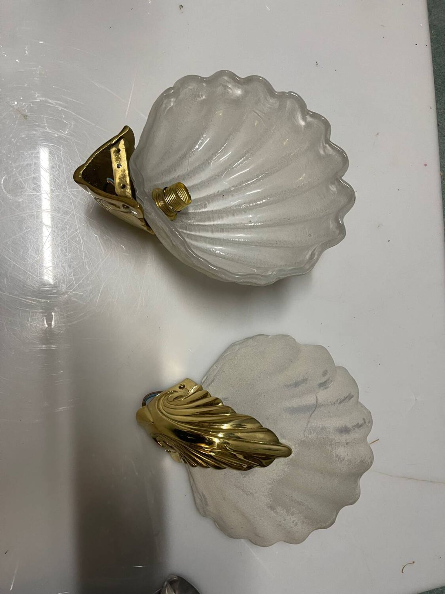 Appliques en verre de Murano en forme de coquillage, ensemble de 2