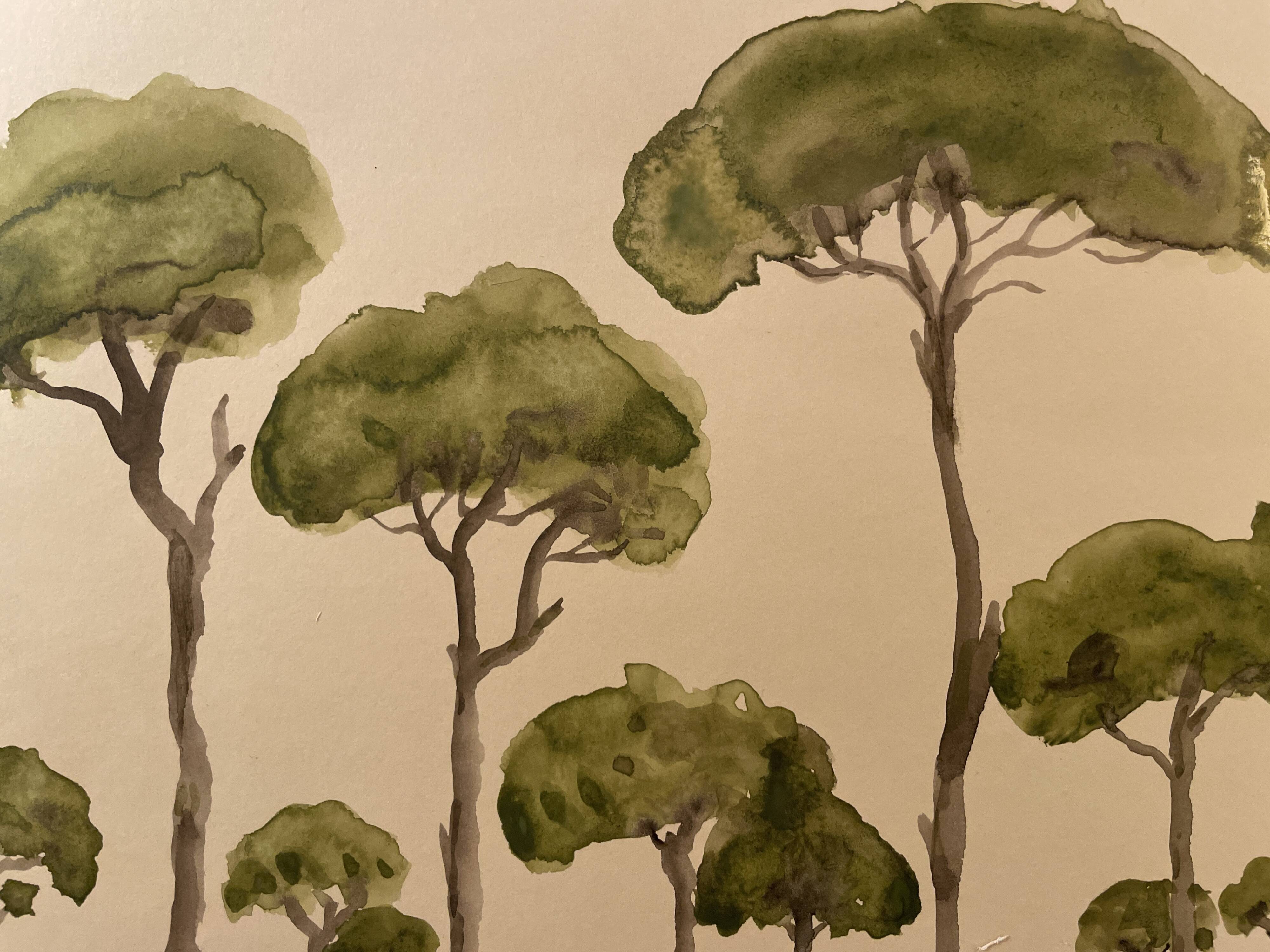 Tableau signé aquarelle « pinède du Lubéron »