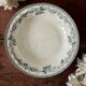 Shallow round plate from Saint Amand ironstone.