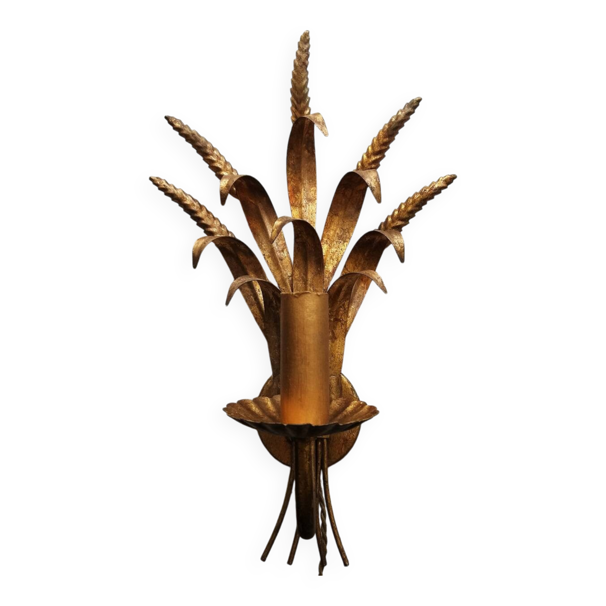 Electrified wall light