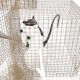 "Seven Rats" lamp by Ingo Maurer 2007