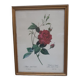 Botanical board