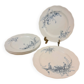 6 Grandes assiettes plates faïence anglaise "Audley"