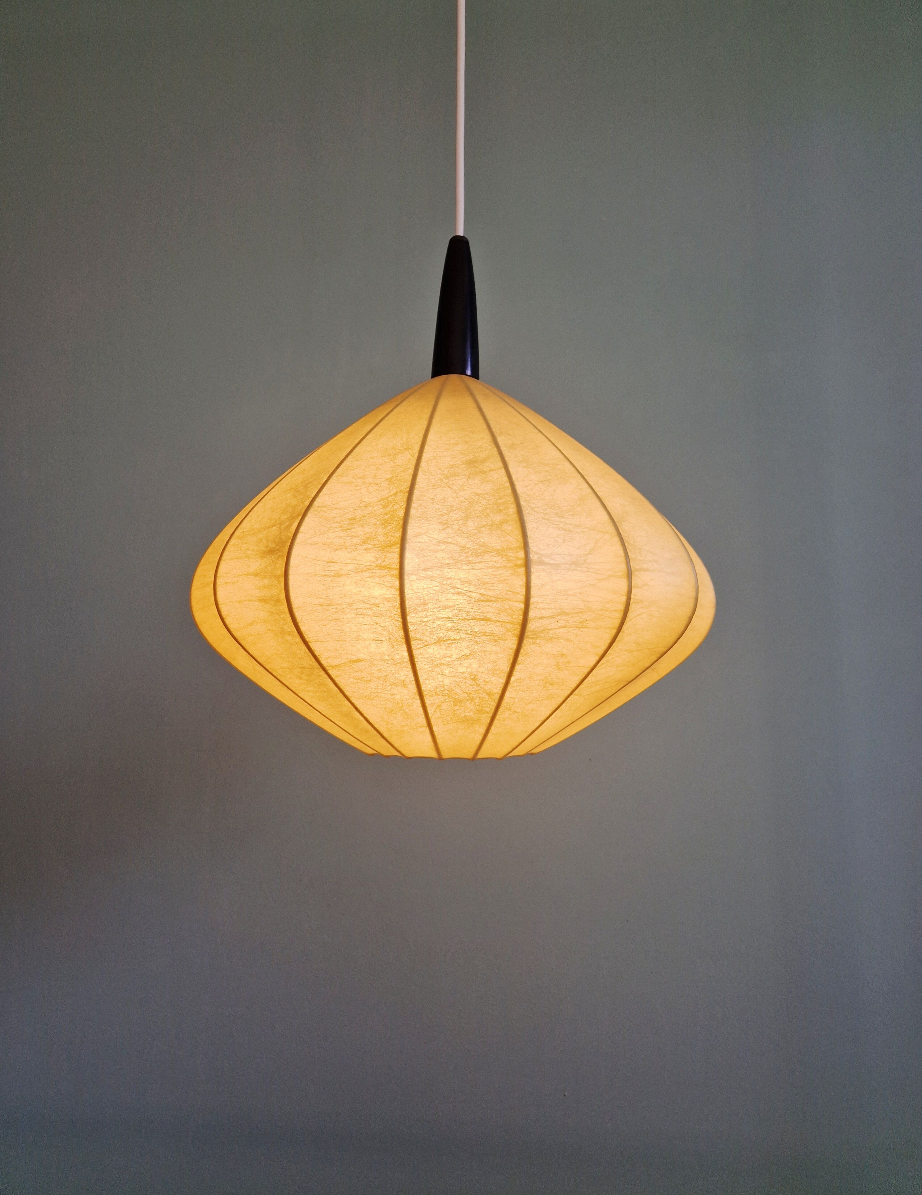 Onion-shaped suspension cocoon, 1960s