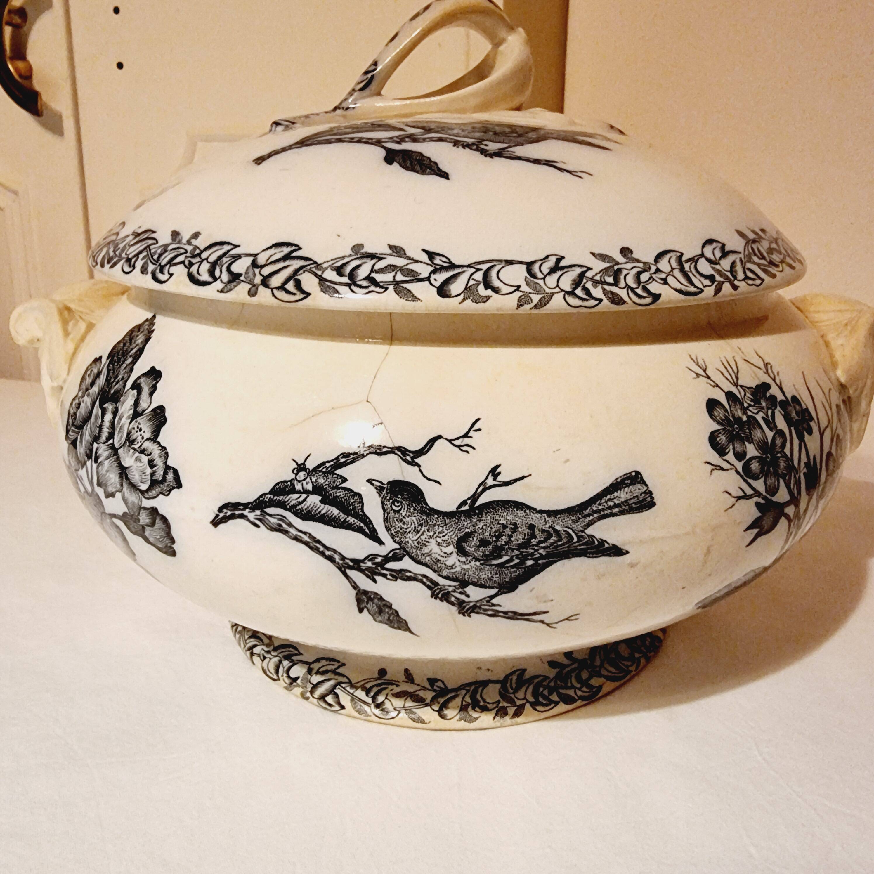 Antique Gien Translucent Porcelain Tureen in Gien Earthenware from 1900