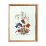 Frame of dried flowers
