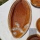 Sarreguemines fish service