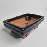 Set of three bonzaï pots of different formats in enamelled terracotta