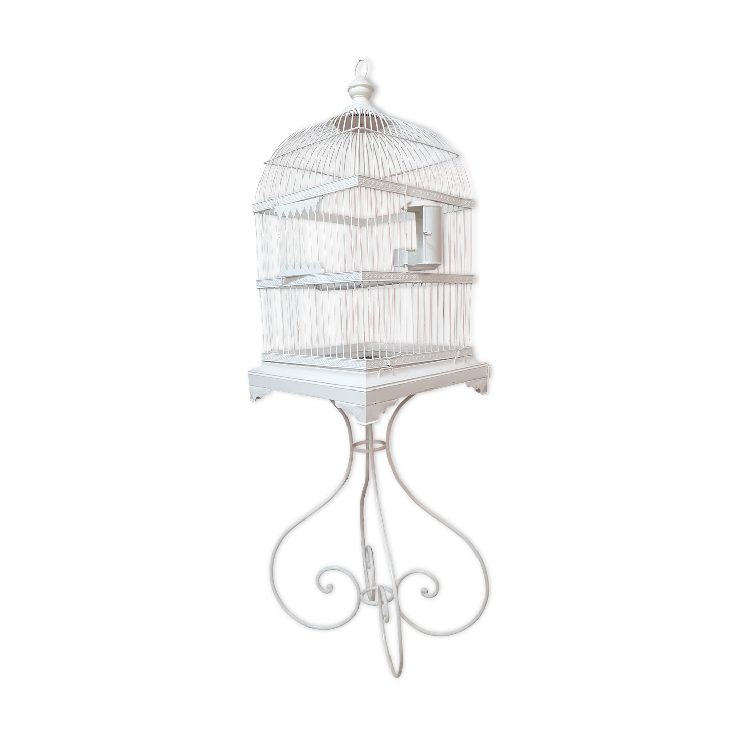 Cage a bird debut XXeme metal on foot