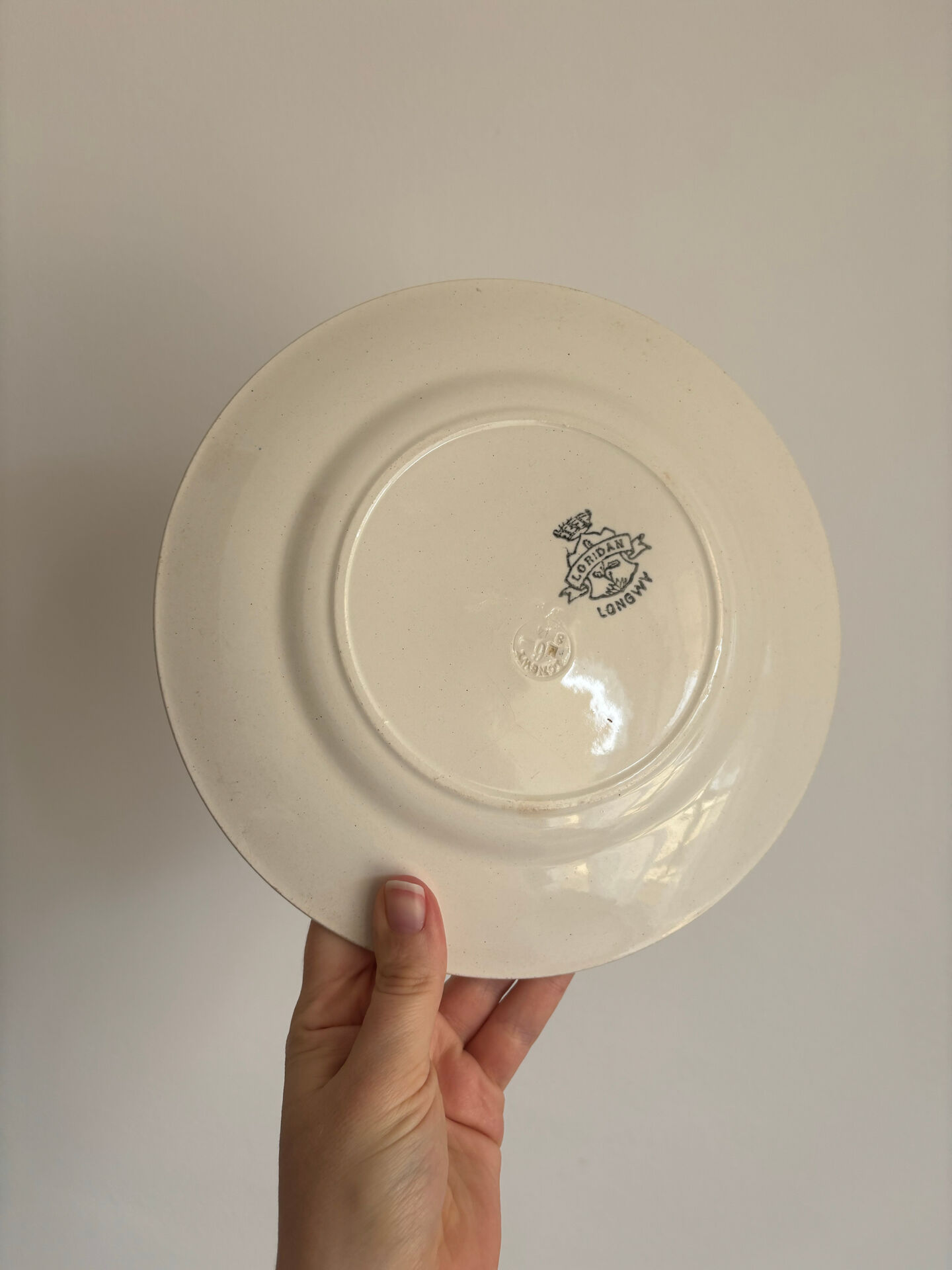 Set of 6 flat plates Longwy Loridan • French earthenware clay