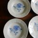 6 hollow plates Digoin Sarreguemines / Pattern Blue Roses