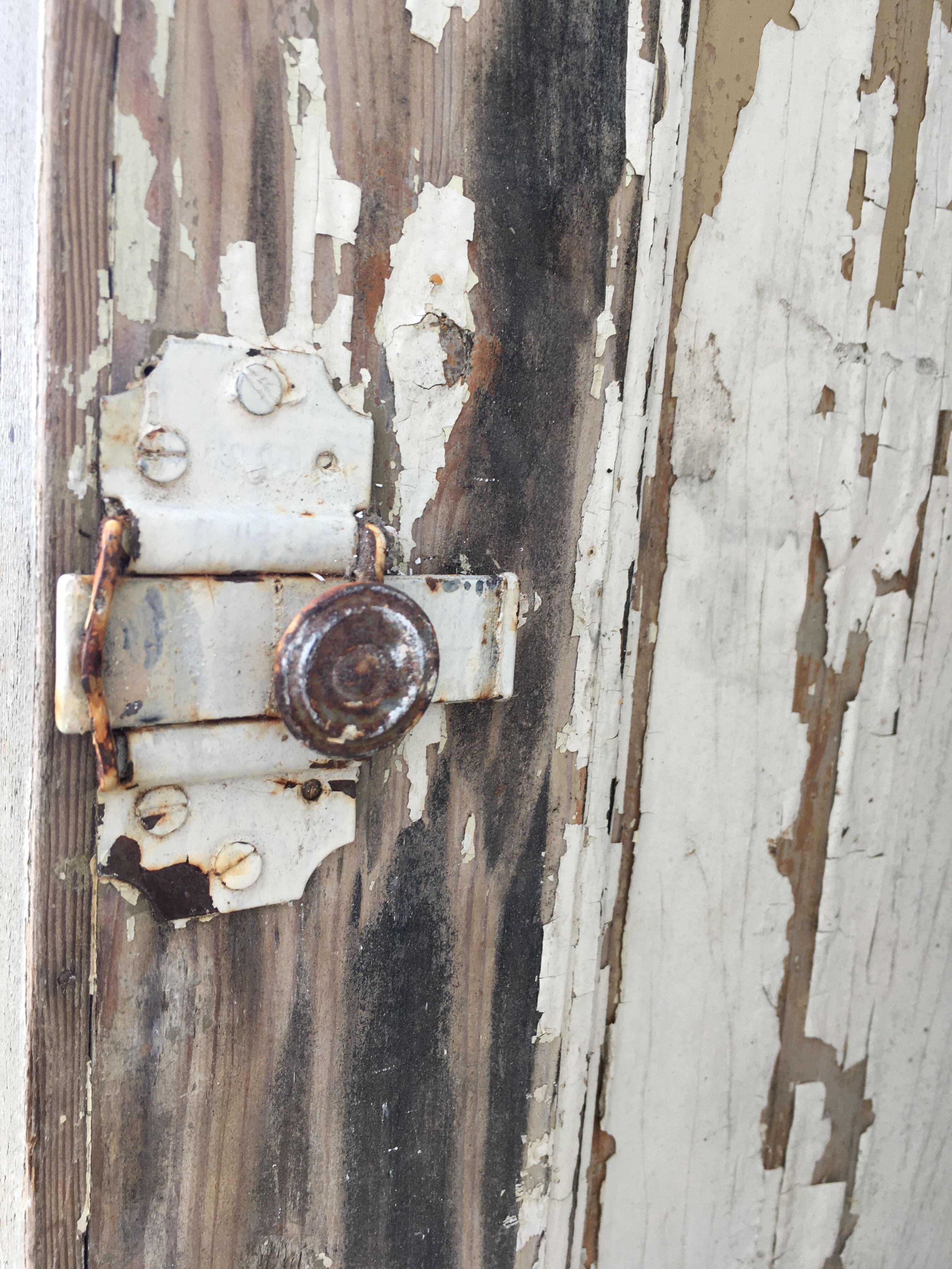 Patinated door