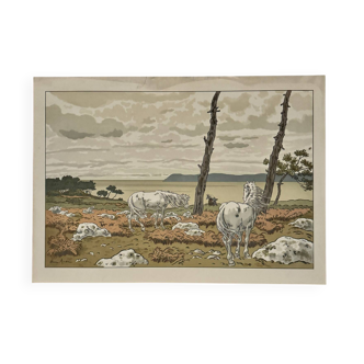 Lithograph by Henri Rivière Aspects of Nature - The Bay