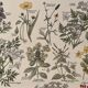 Lithograph on poisonous plants - 1920