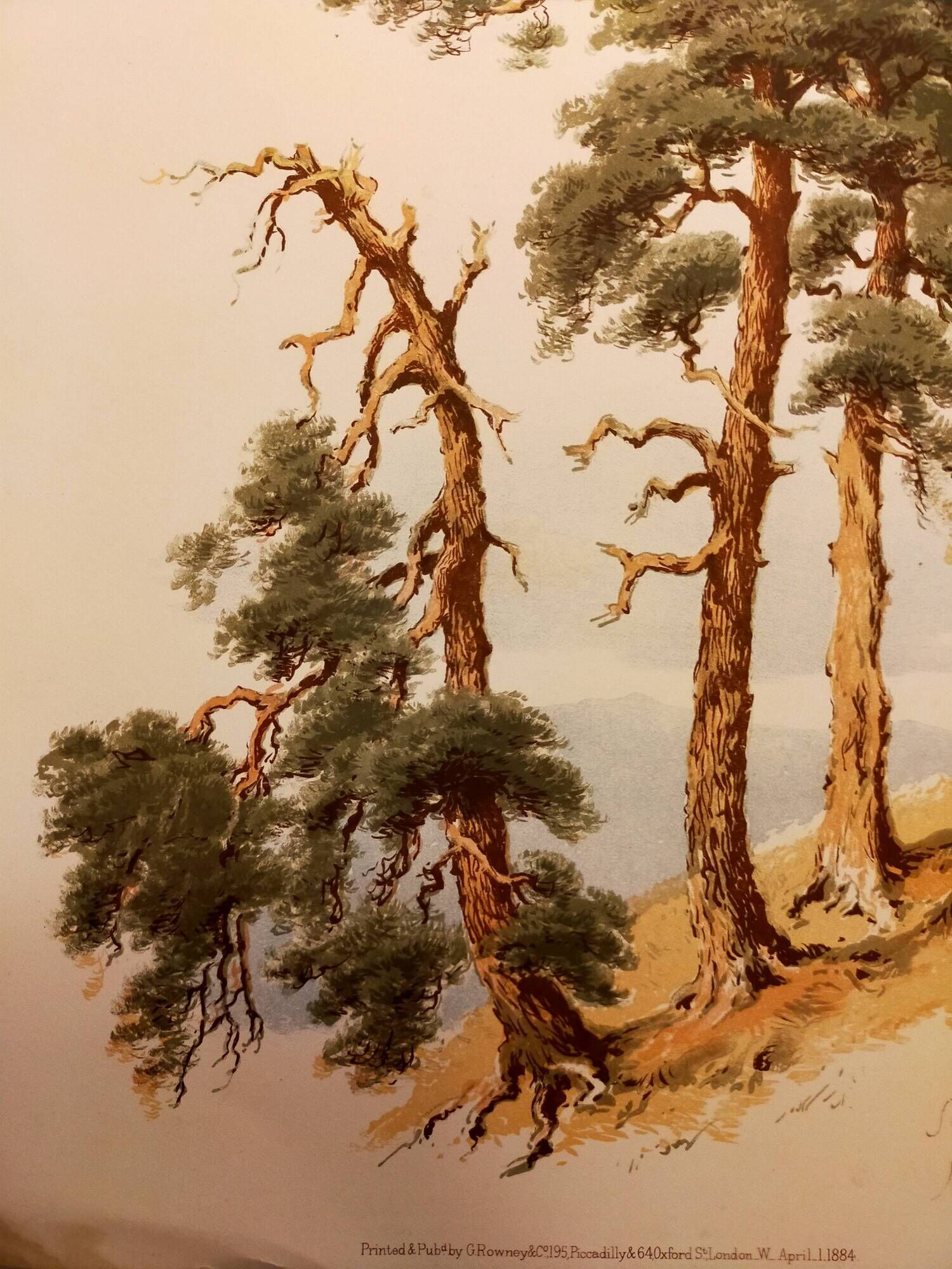 Old lithograph plate 18