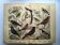 Large antique engraving, 1886 - Finch and birds. Lithograph, plate