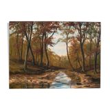 Painting "River flowing through the forest"