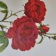 Botanical plate Rose Bishop P. J. Redouté 1960