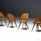 Mid-century plywood dining chairs, Italy, 1950s