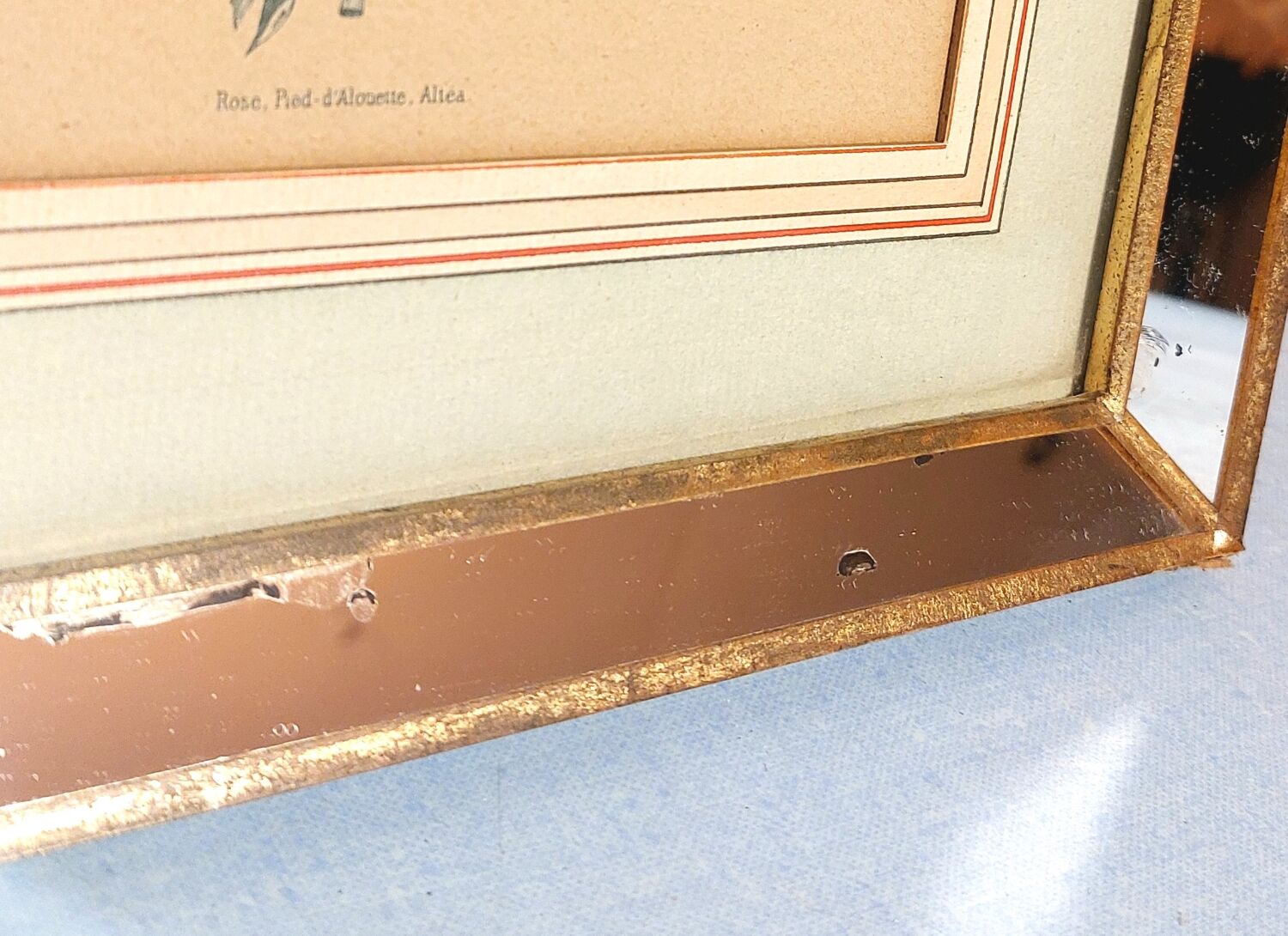 Flower print and period mirror frame