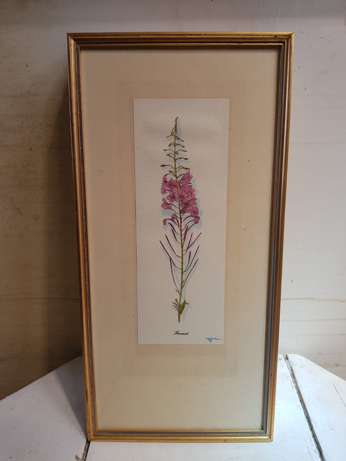 Series 4 Old Botanical Boards Flowers GRANDALL + Frame Gilded Wood Vintage